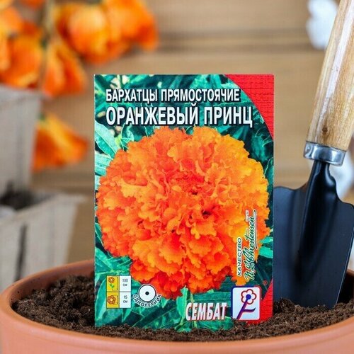 Семена цветов Бархатцы прямостоячие Оранжевый принц 0,1 г 10 упаковок
