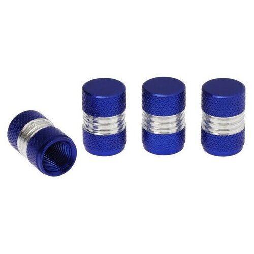 Колпачок на вентиль синий набор 4 шт 488₽