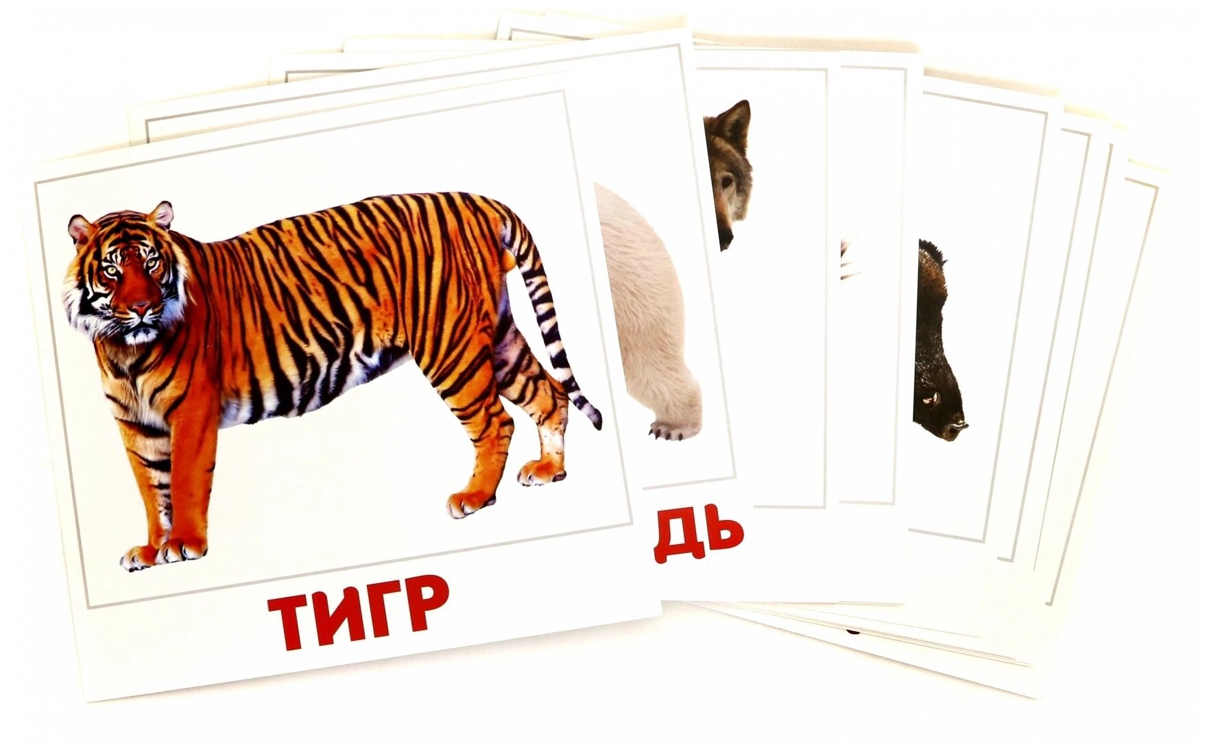 Животные картинки домана