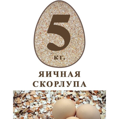 Яичная скорлупа 5 кг