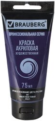 Лучшие Краски BRAUBERG