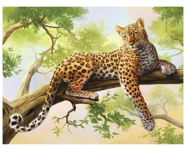 Школа талантов Картина по номерам на холсте с подрамником «Леопард» 40х30 см