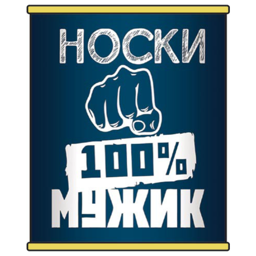 Носки Носкофф Мужские носки Носкофф, размер 41-47, черный