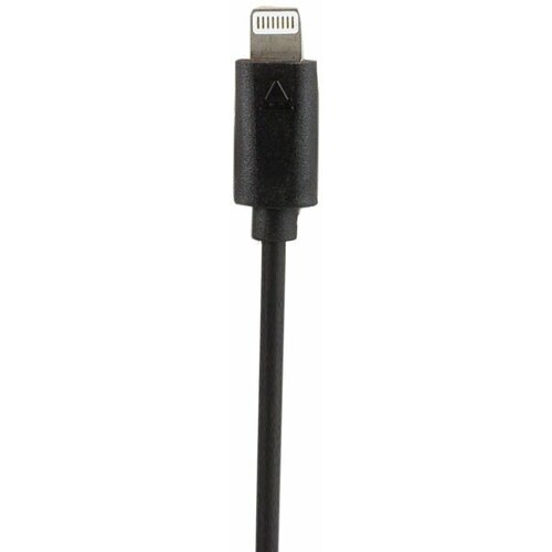 Зарядное устройство автомобильное, 12В / 24 В c USB / iPhone Lightning, 120 см, черный