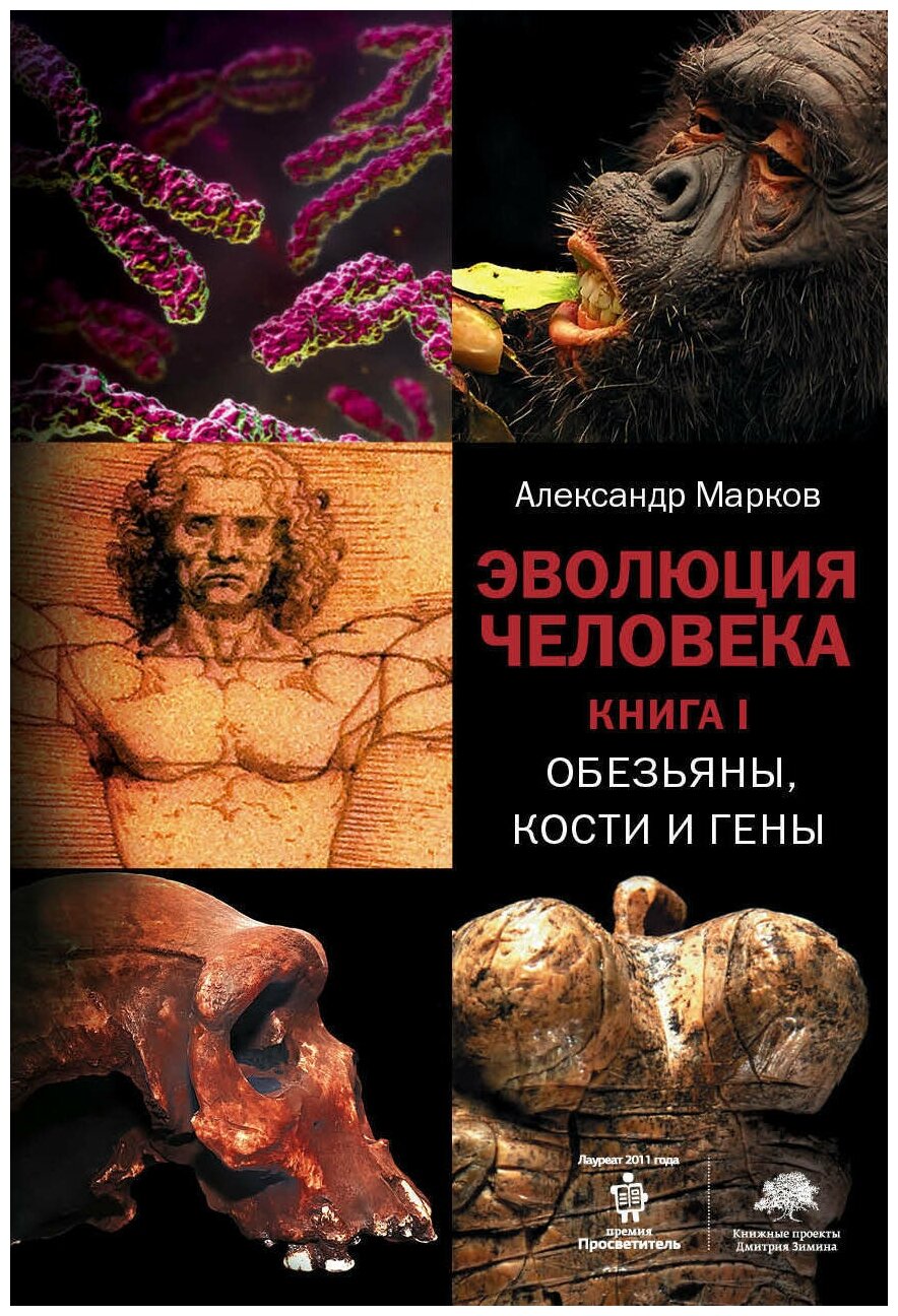 Эволюция человека. Книга 1. Обезьяны, кости и гены - фото №3