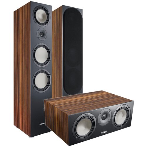 Напольная акустика Canton GLE 90 GLE 50 Makassar 19800000₽