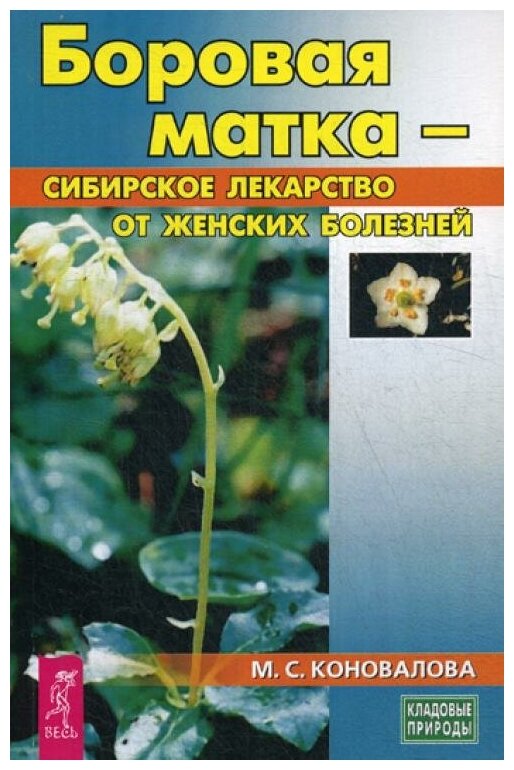 Боровая матка сибирское лекарство от женских болезней Книга Коновалова Марина