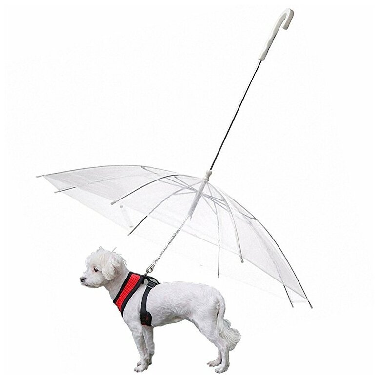 Зонт для собак PUPPIA, прозрачный, 72см (Южная Корея) - фотография № 2
