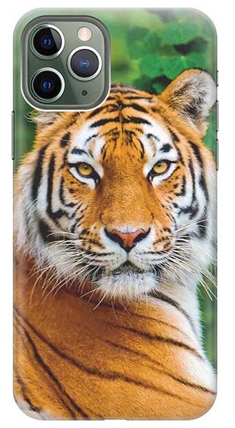 Силиконовый чехол на Apple iPhone 11 Pro / Эпл Айфон 11 Про с рисунком "Портрет тигра"