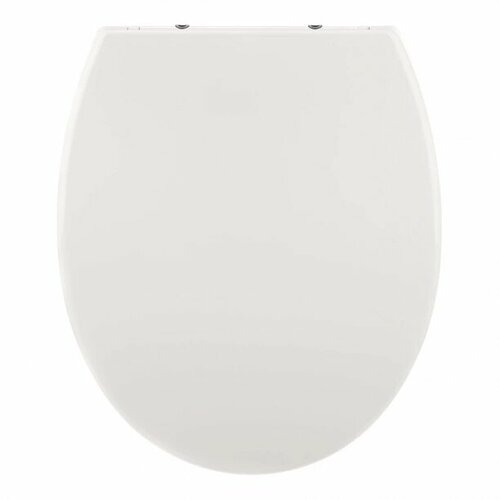 Сиденье для унитаза FLUMEN быстросъемное с микролифтом 4087₽