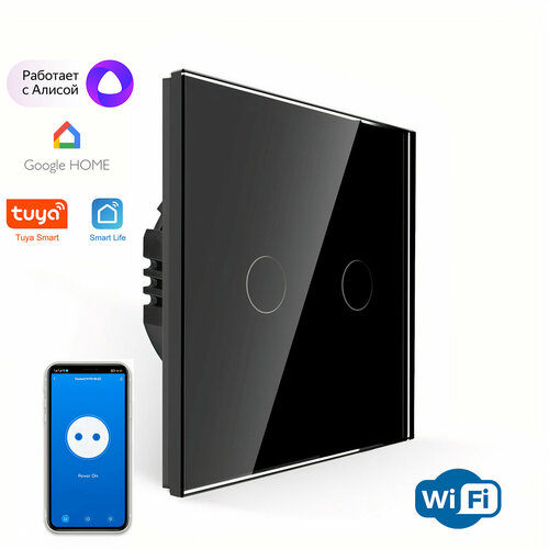 Сенсорный выключатель двухклавишный Wi-Fi, Удаленное управление, с нулем и без нуля, Умный дом (SK-TW02)