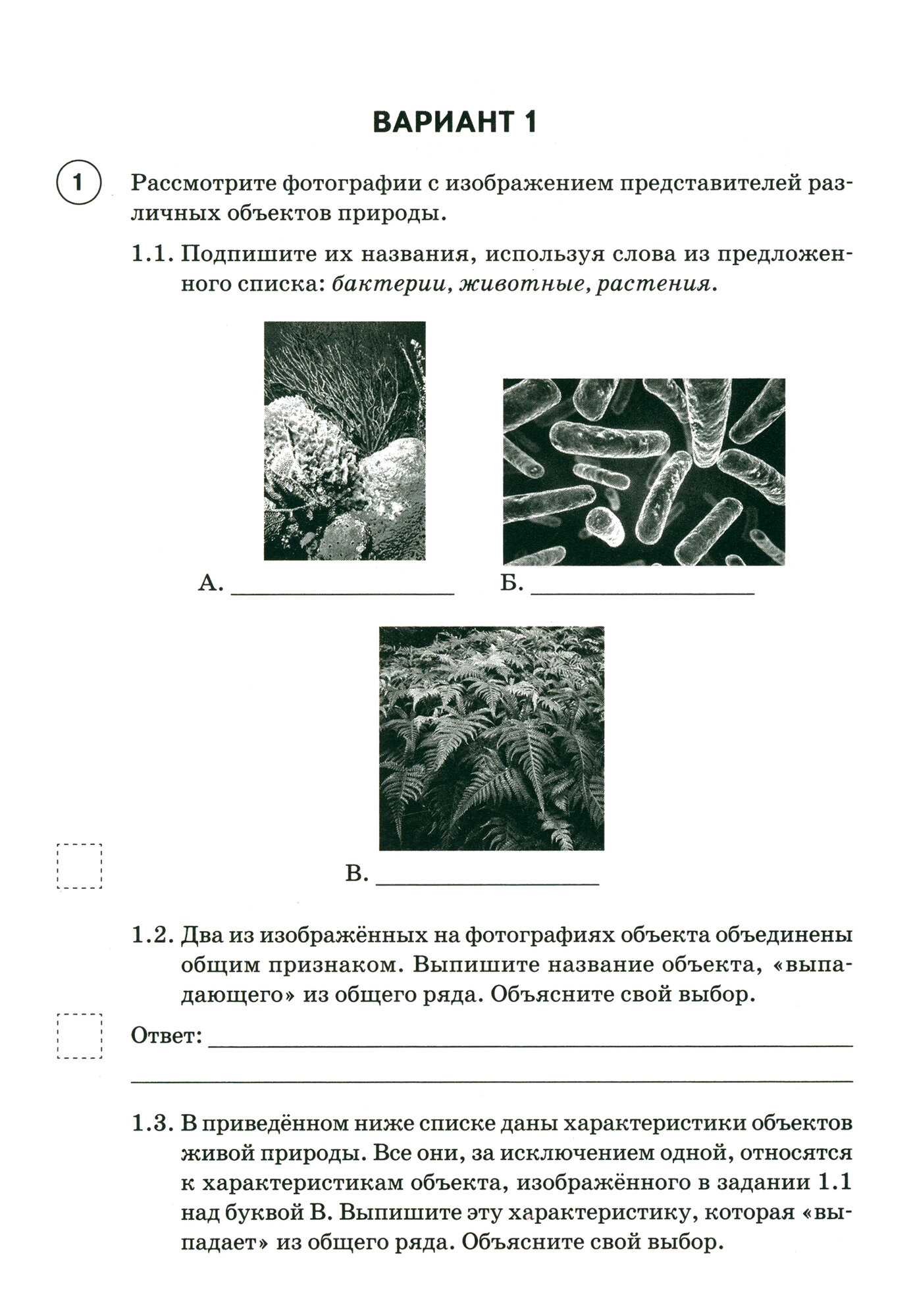 Биология. 5 класс. ВПР. 10 тренировочных вариантов. Учебно-методическое пособие - фото №2