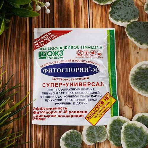 "Фитоспорин-М", ОЖЗ Кузнецова, 100 г 2 штуки
