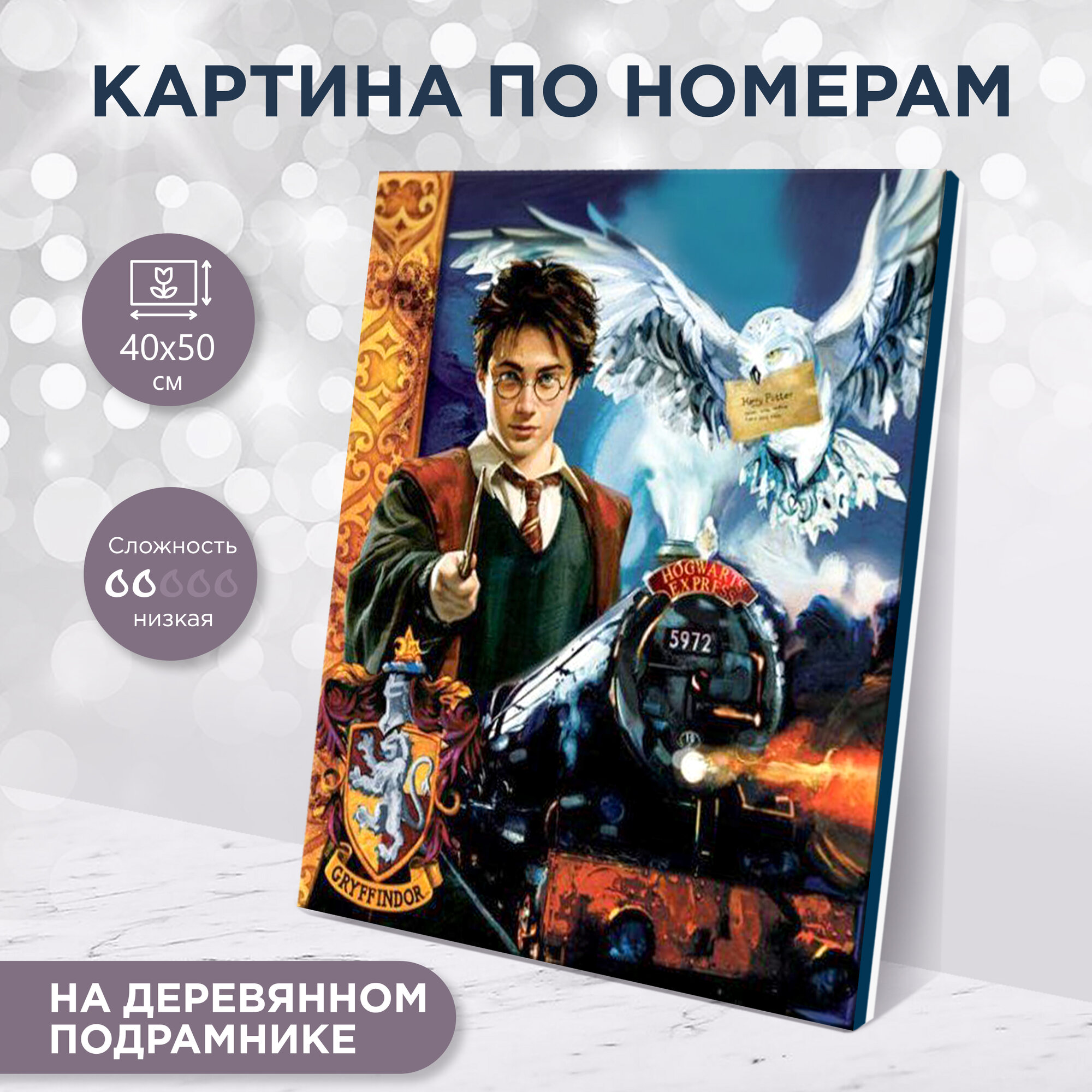 Картина по номерам "Гарри Поттер" 40x50 см