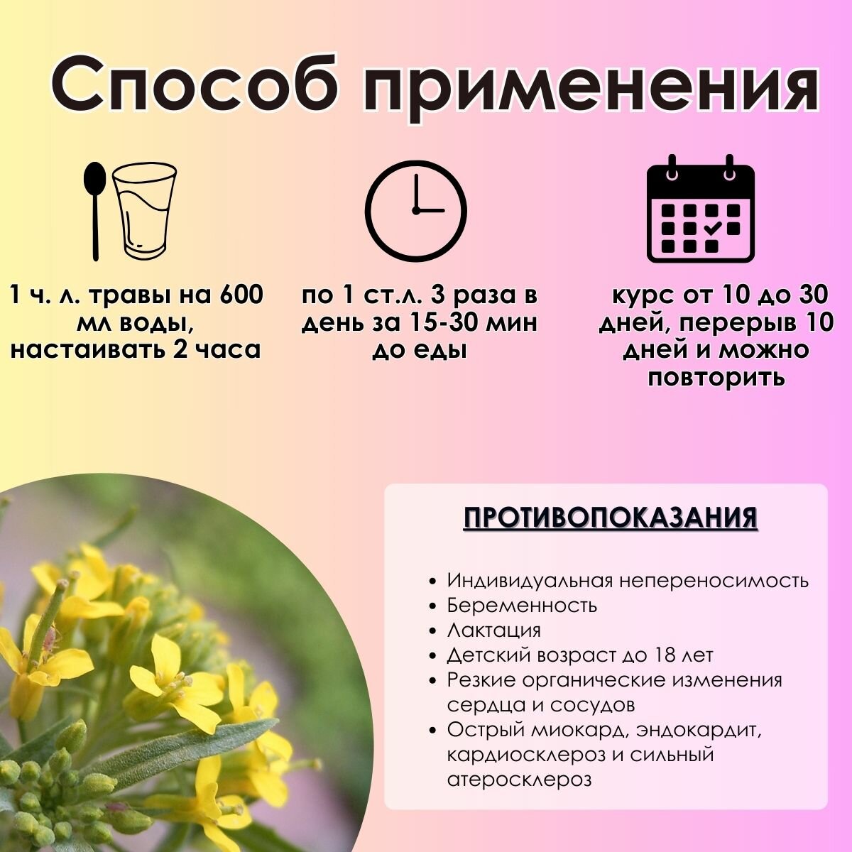 Кардиотонические Лекарственные Травы Желтушник "Фито-Аптекарь" - трава для сердца, средняя фракция 100г