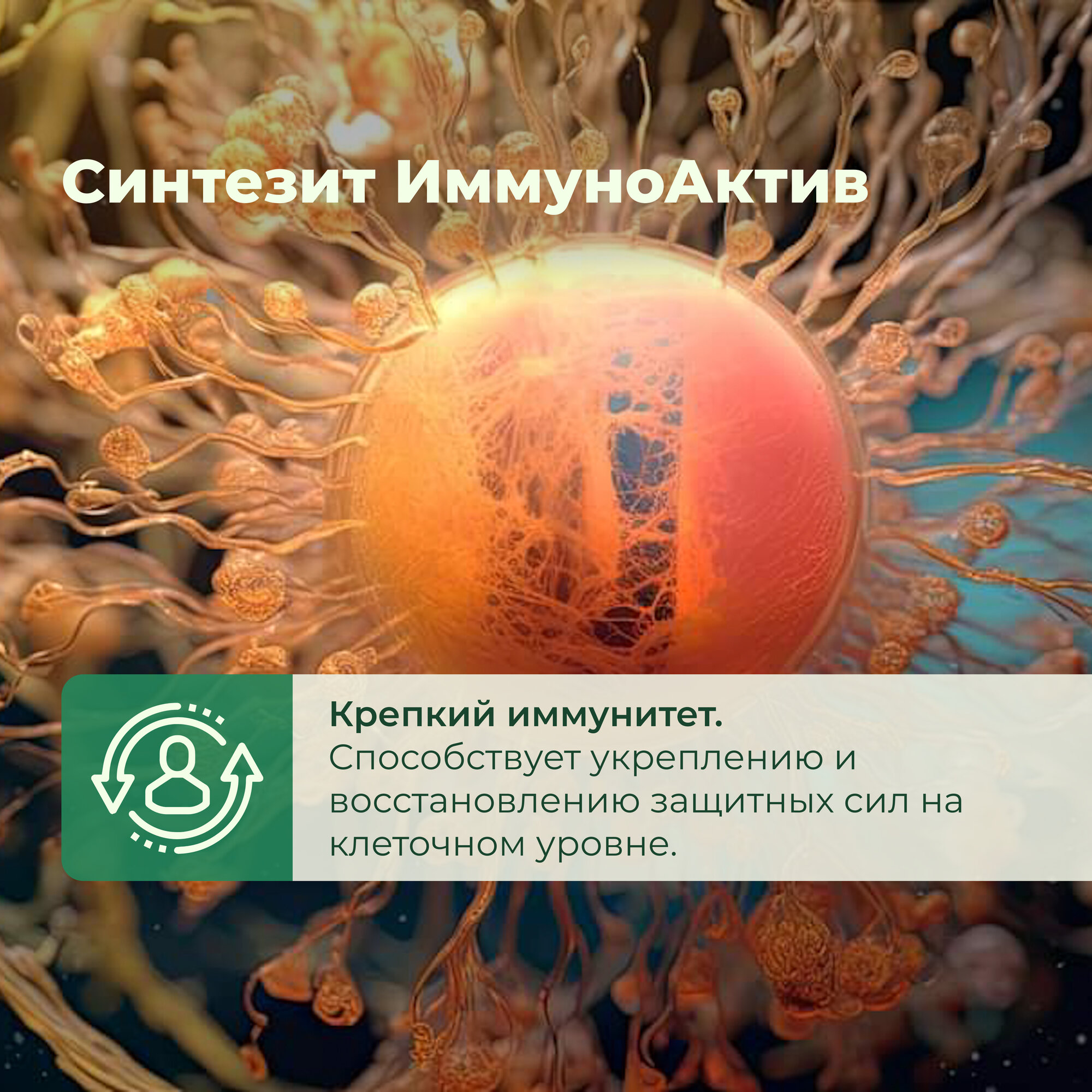 Бад Для Укрепления Иммунитета БАД Синтезит "ИммуноАктив", укрепление иммунитета, 300 мкг, 60 капс.