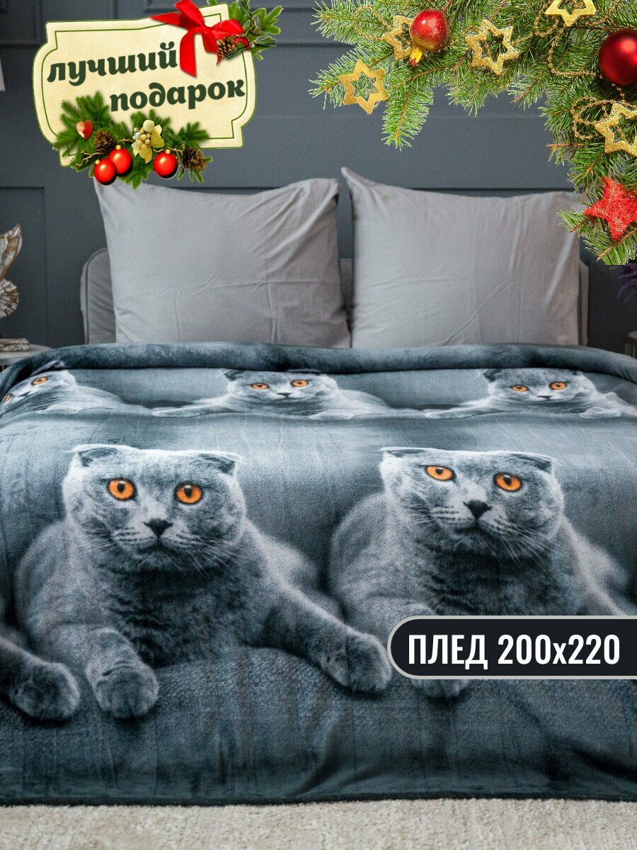 Плед 200х220 Павлина Кот шотландский шотландец на диван на кровать