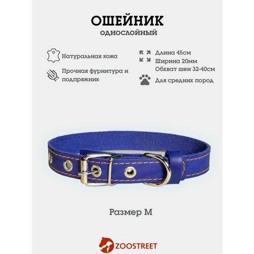 Ошейник для собак мелких пород кожаный, однослойный, 20мм, 45см, с подпряжником M
