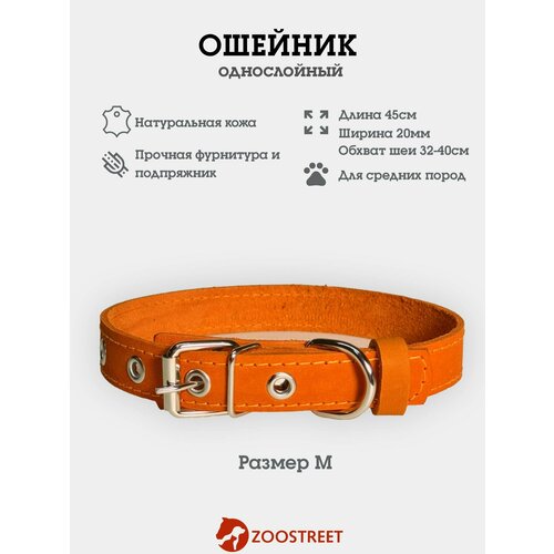 Ошейник для собак мелких пород кожаный, однослойный, 20мм, 45см, с подпряжником M