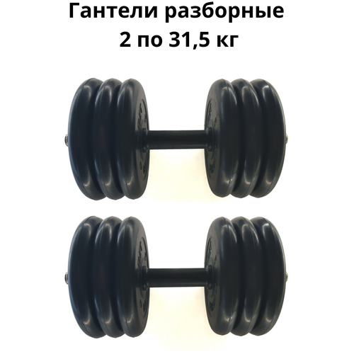 фото Гантели разборные 2 шт. по 31,5 кг mb barbell