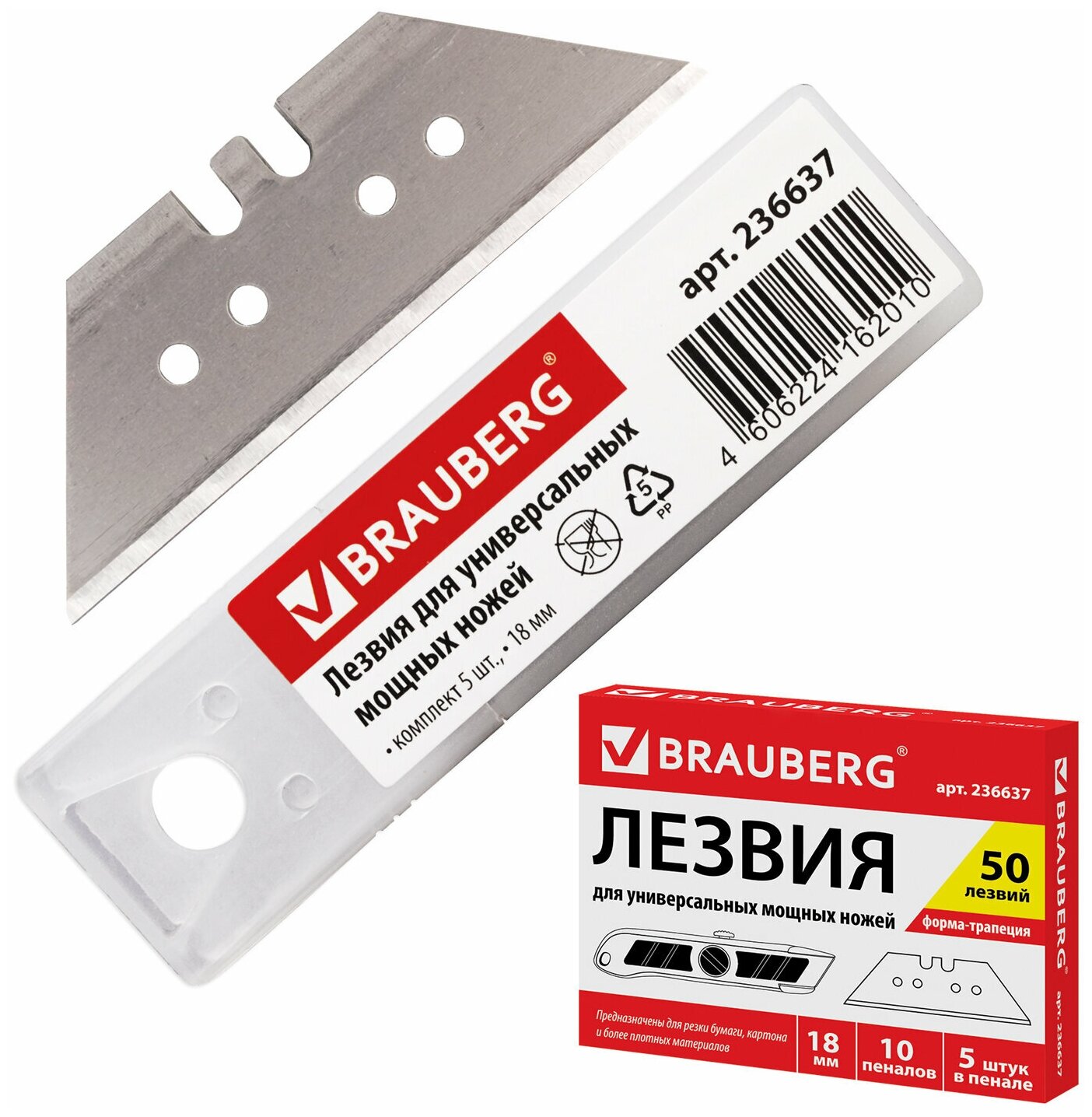     , 18 , BRAUBERG,  5 ., -,   , 236637