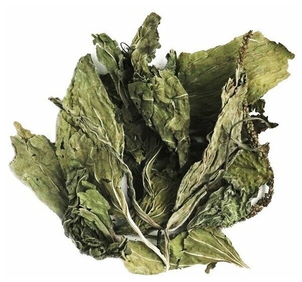 Подорожник трава противомикробное легкое дыхание чистая кожа Марва Оганян травяной чай Алтай 100 гр.