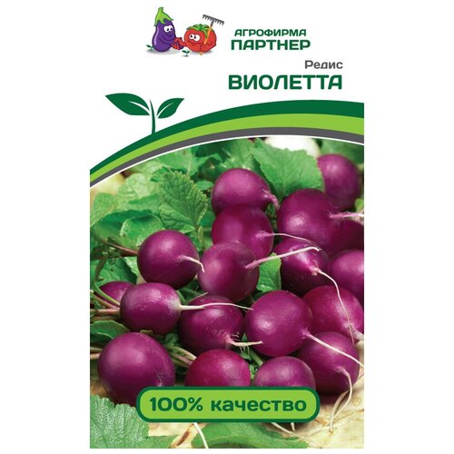 Редис Виолетта