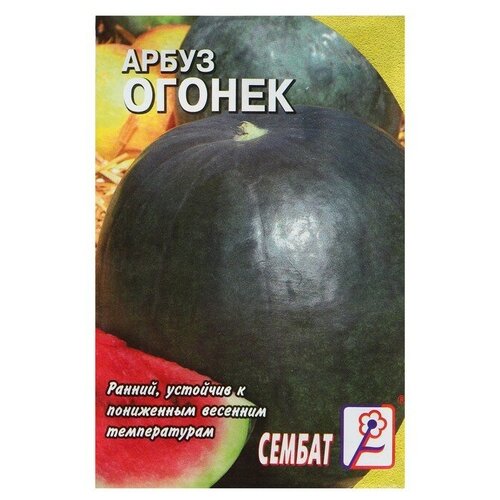 Семена Арбуз Огонек, 1 г