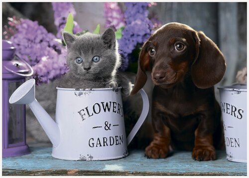 Изображение товара Фрея PZL-1000/32 Пазл Цветы жизни 1000 элементов интерьерная головоломка для коллекции