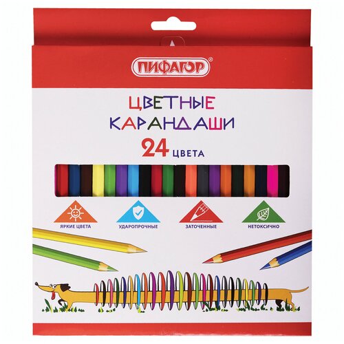 Карандаши цветные пифагор Веселая такса 24 цвета классические заточенные 181808 Квант продажи 1 ед 602₽