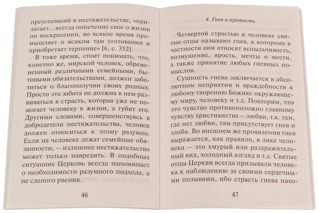 О семи грехах и семи добродетелях - фото №2