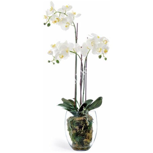 Искусственная Орхидея Фаленопсис белая с мхом, корнями, землёй - в-85 см, Treez Collection