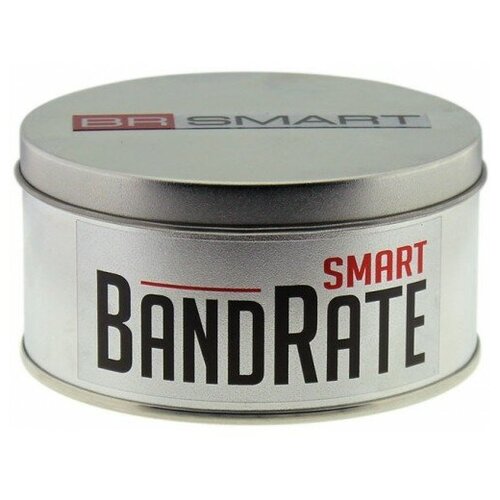 BandRate Smart BRSTWSK1PROWR 212500₽