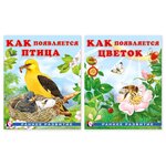 Книги для детей. Ранее развитие. Как появляется птица. Как появляется цветок. Комплект из 2 книг - изображение