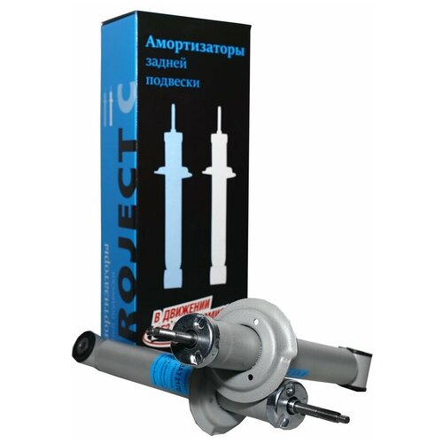 Амортизаторы задней подвески 