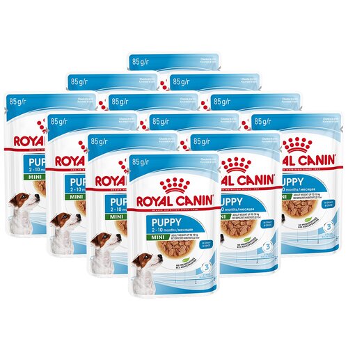 royal canin mini puppy полнорационный сухой корм для щенков мелких пород до 10 месяцев Влажный корм для щенков Royal Canin при чувствительном пищеварении 1 уп. х 12 шт. х 85 г (для мелких и карликовых пород)