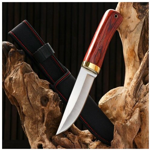 фото Нож охотничий "алвар" 24,5см, клинок 130мм/3мм, коричневый 7187157 сима-ленд