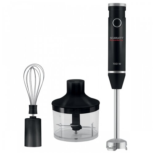 Блендер Scarlett SC-HB42F66 Rowanberry 231700₽