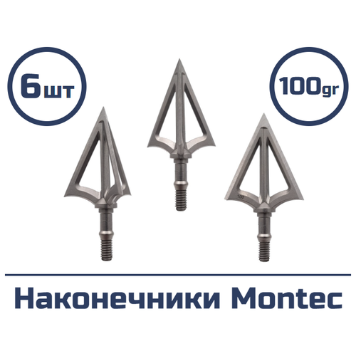 Наконечник Montec 100 гран 6 шт