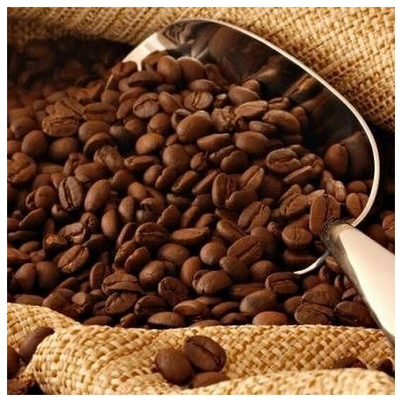 Кофе "Черная Лилия" арабика в зернах аромат 100 гр французской обжарки - фотография № 3