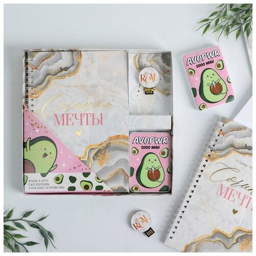 Набор флеш-карта ежедневник внешний аккумулятор 5000 mAh Сочиняй мечты 215 х 215 см 189900₽