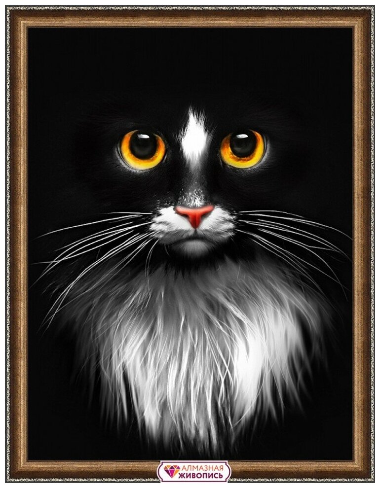 Черный кот #АЖ-1899 Алмазная живопись Набор алмазная мозаика 30 х 40 см