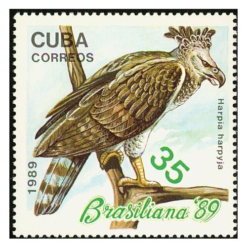 (1989-052) Марка Куба Гарпия орел Птицы III Θ 1974 065 марка куба бескрылая гагарка ископаемые птицы ii θ