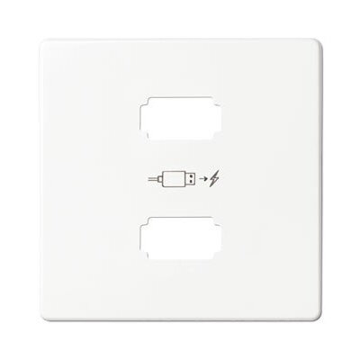 фото Simon 82 Detail Белый Накладка для зарядного устройства 2*USB