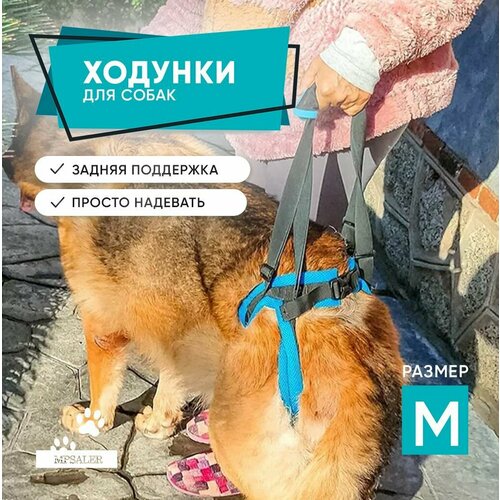 Ходунки для собак, поддержка задних лап пожилых и травмированных собак. Размер M.