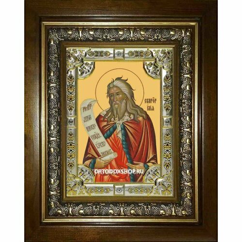 Икона Илия (Илья) Пророк, 18x24 см, со стразами, в деревянном киоте, арт вк-1899