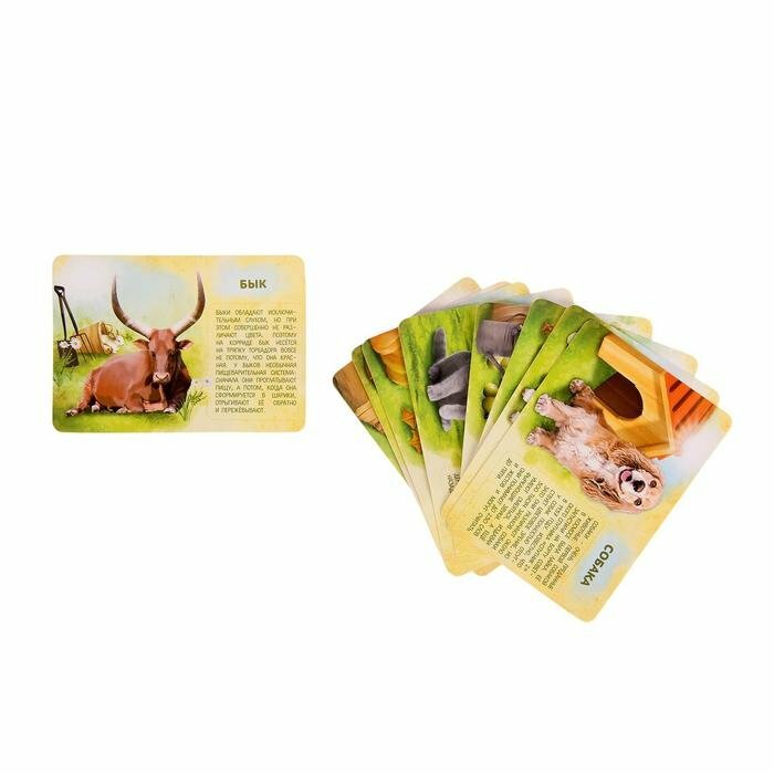 Набор животных с обучающими карточками "Фермерское хозяйство", 10 животных
