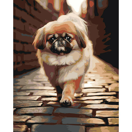 Картина по номерам Собака Пекинес гуляет по городу 40x50 картина по номерам собака пекинес на фоне яркого неба 40x50