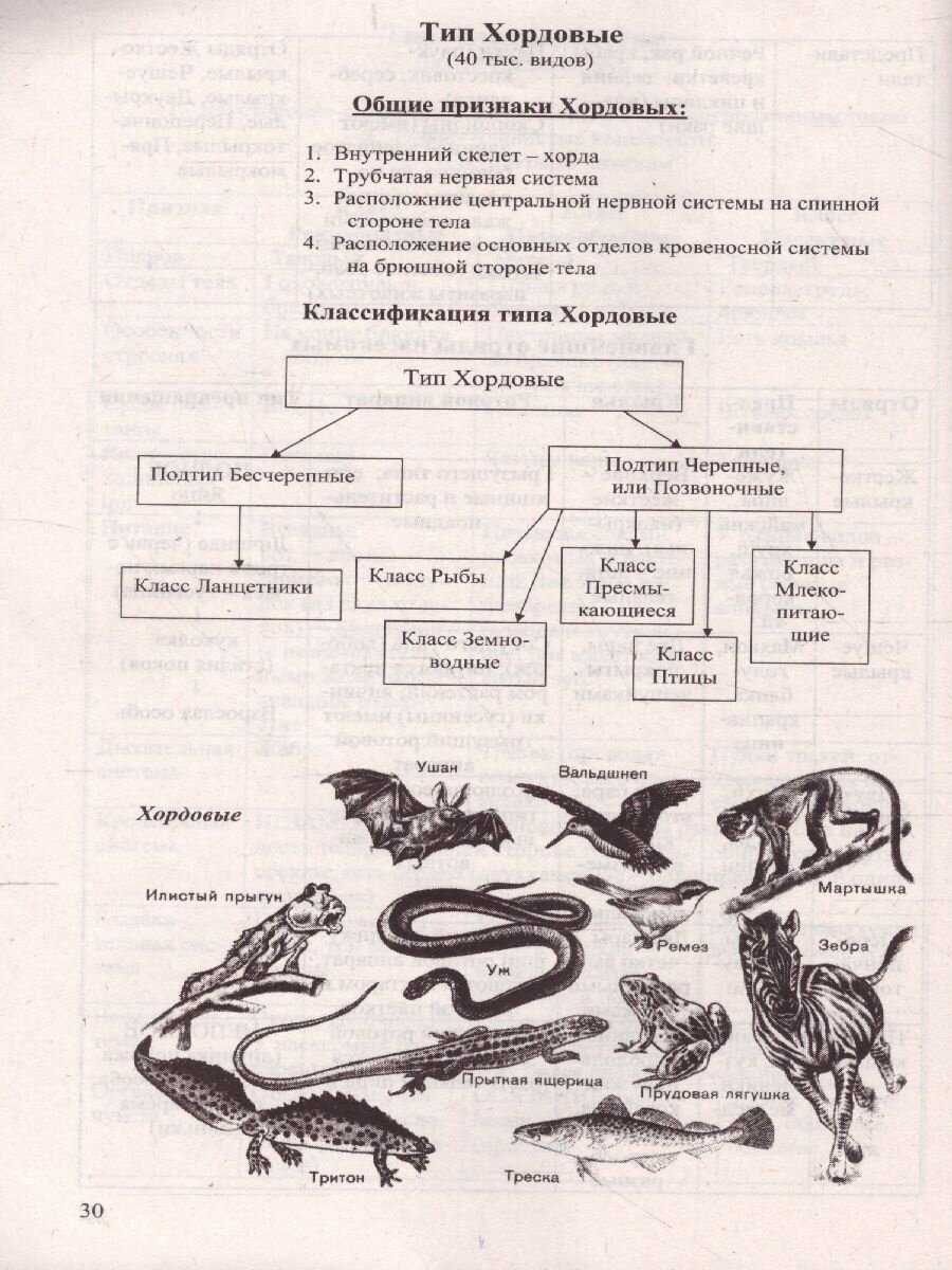 Биология в таблицах и схемах. Для школьников и абитуриентов. 2 -е изд. - фото №8