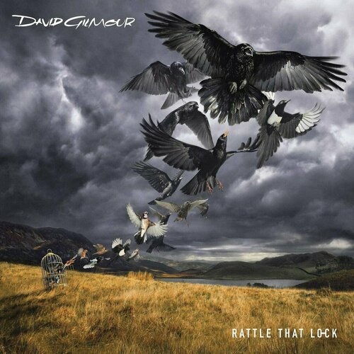 Виниловая пластинка David Gilmour - Rattle That Lock gilmour david rattle that lock cd dvd deluxe edition box set